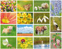 spring postcards